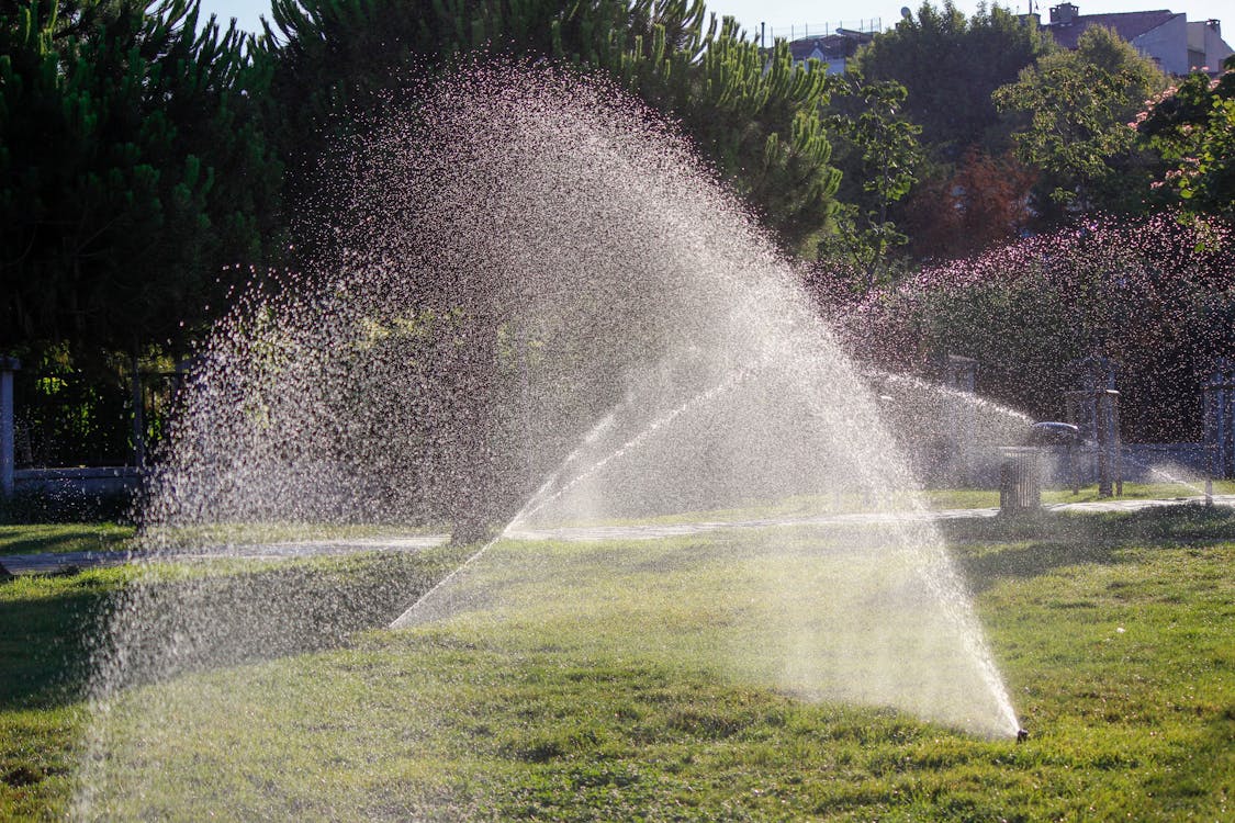 watering-lawn