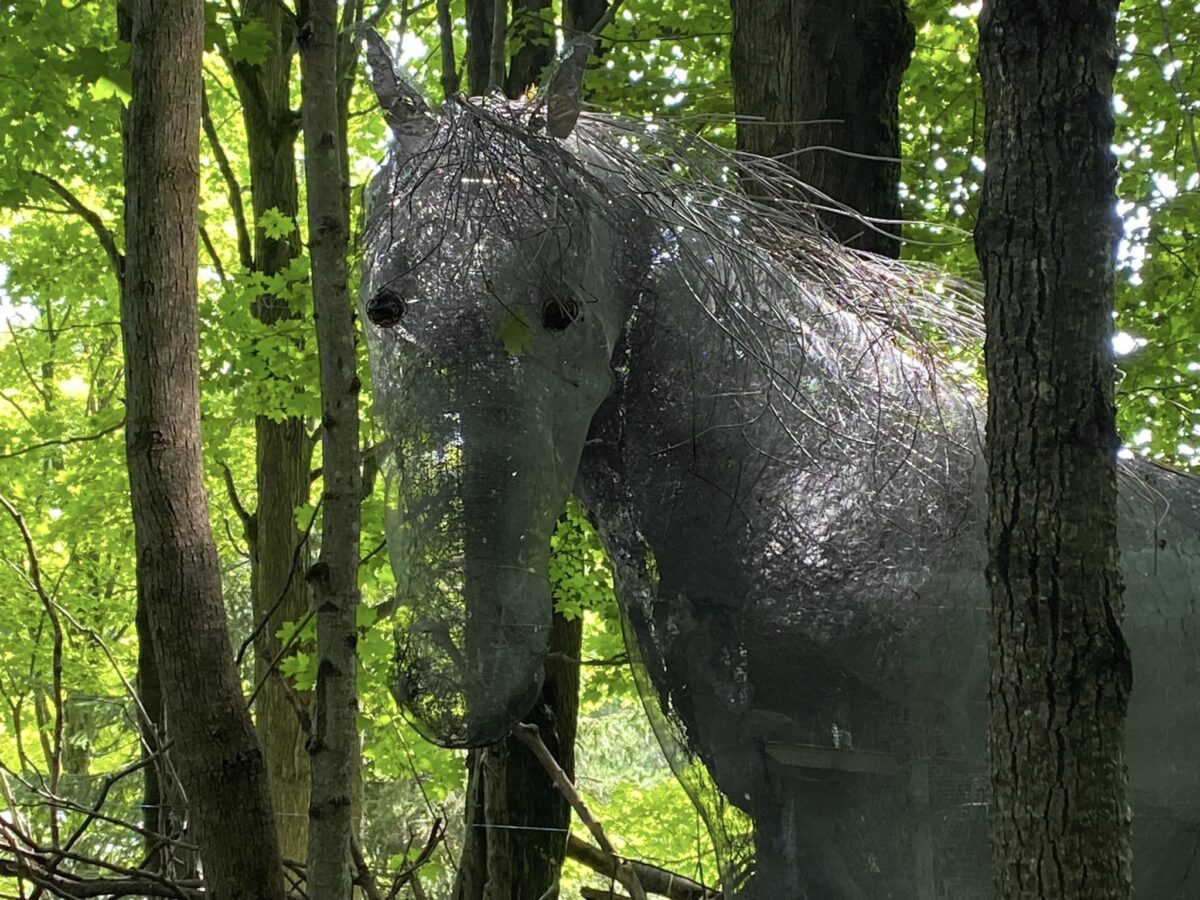 Singhampton-Sculpture-Forest