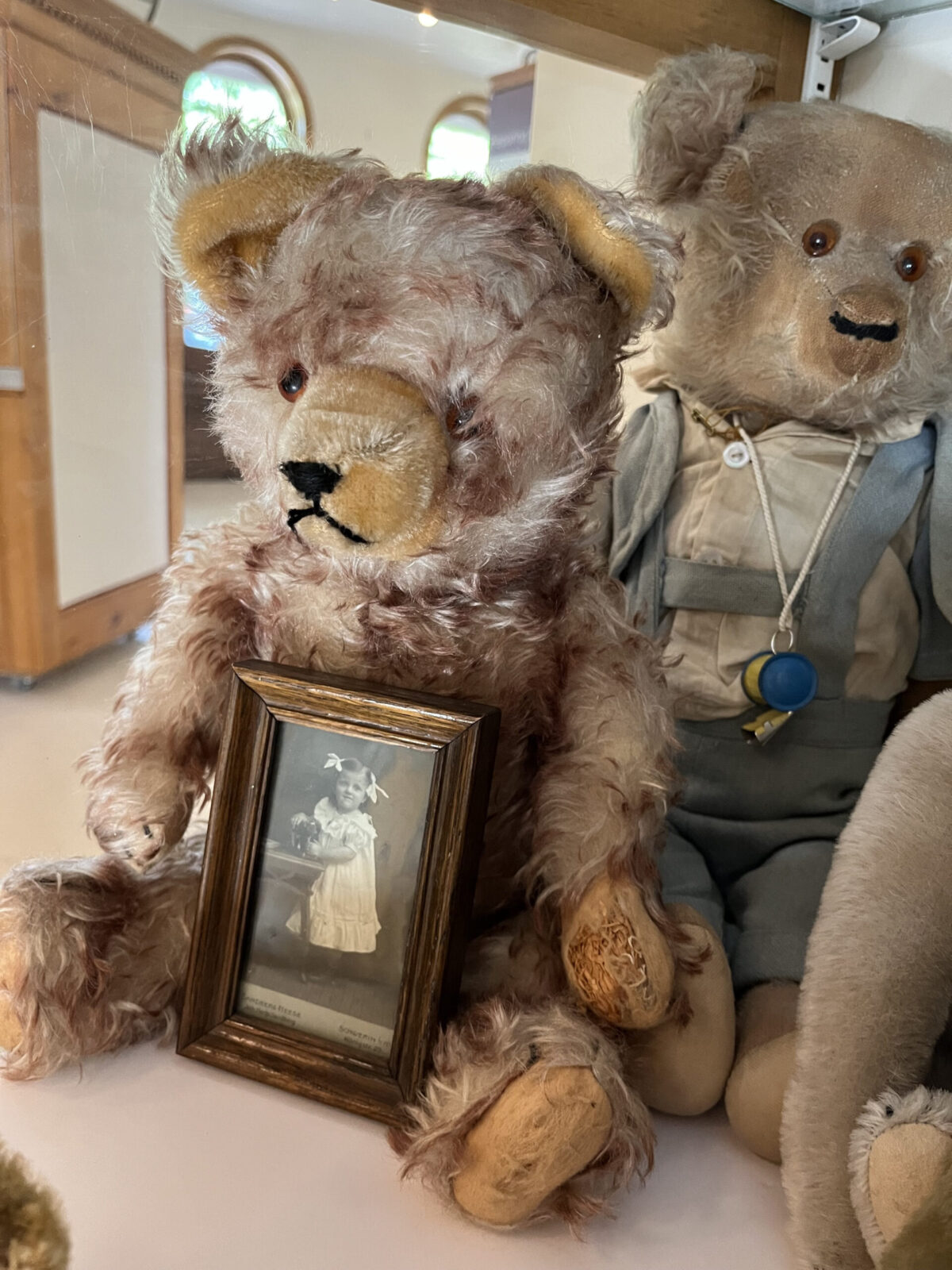 Collingwood-Museum-Teddy-Bear-Photo