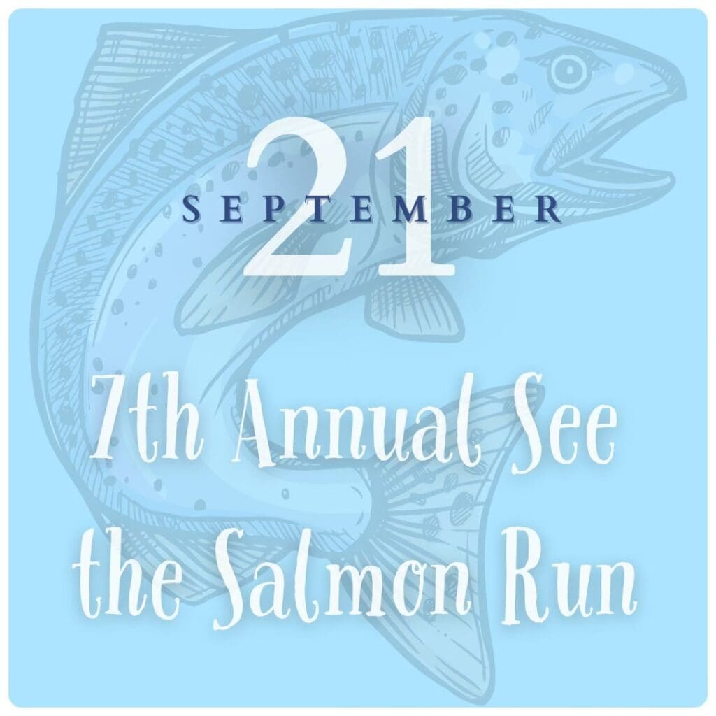 Seventh-Annual-See-the-Salmon-Run