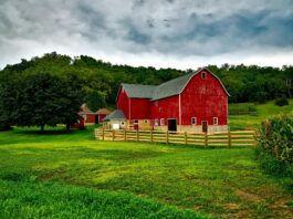 photo-red-barn-farm