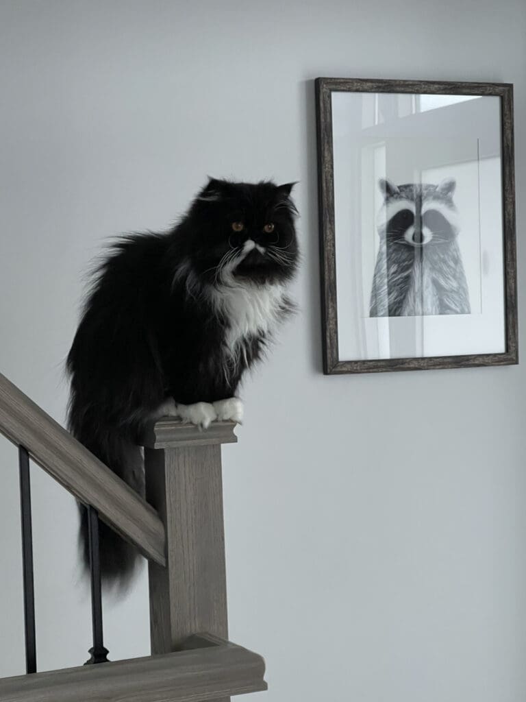 frankie-malloy-photo