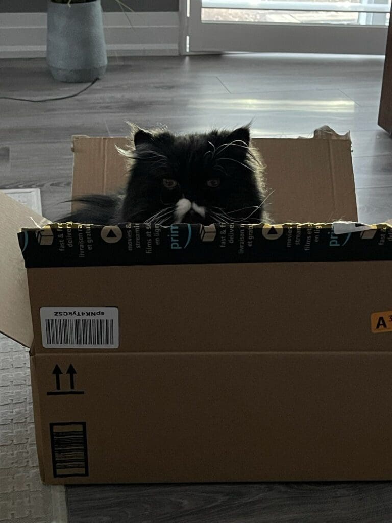 Frankie-Malloy