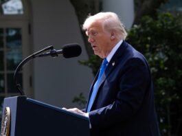 trump_putin_call