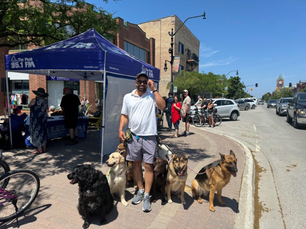 adisa-dedicated-dog-walkers