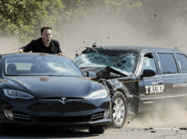 elon