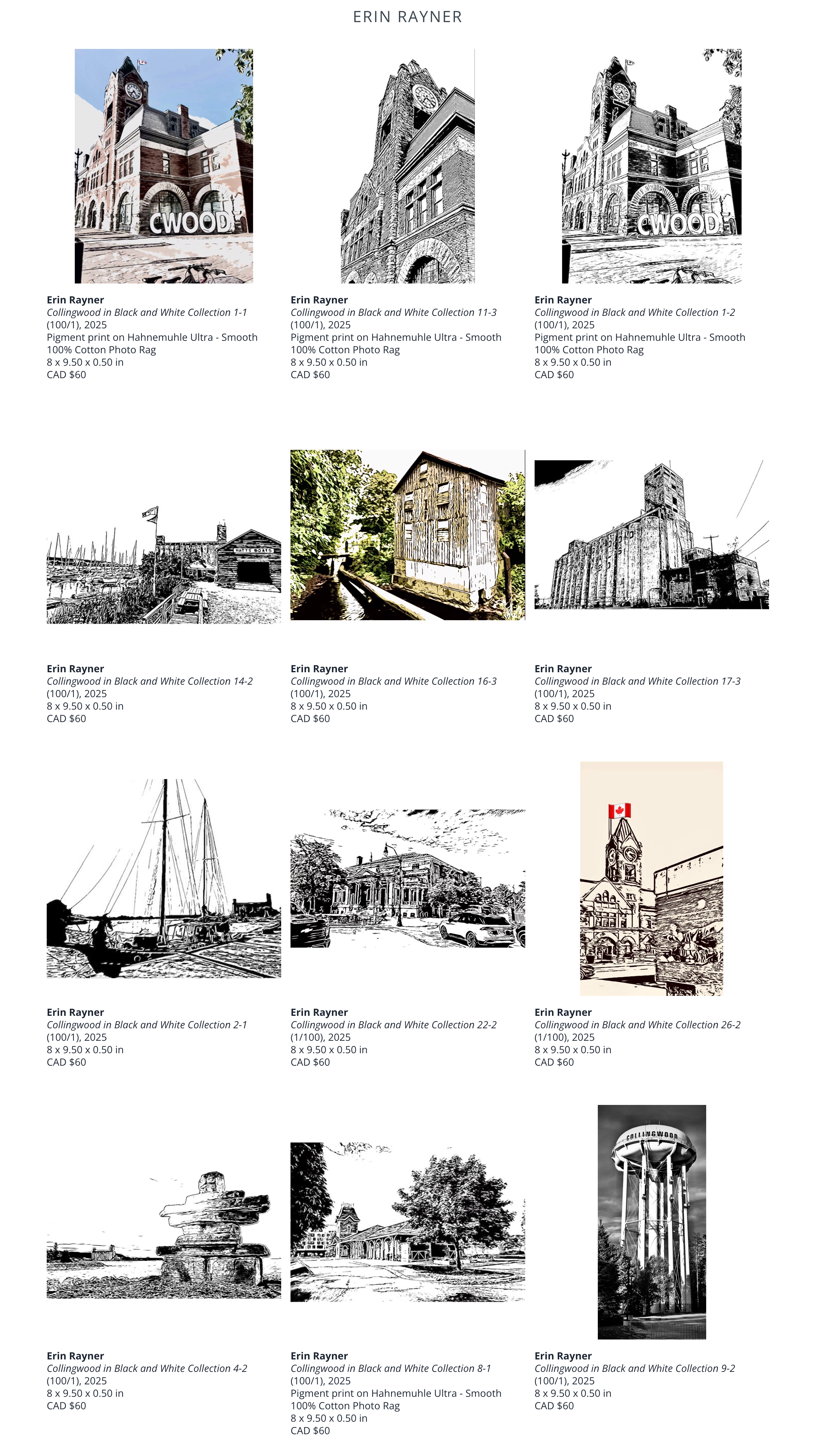 Erin-Rayner-Mountainside-Gallery-Inc--07-07-2025_07_22_PM
