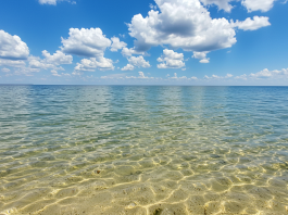 water