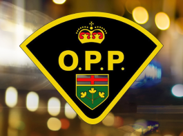 OPP-PIC-1