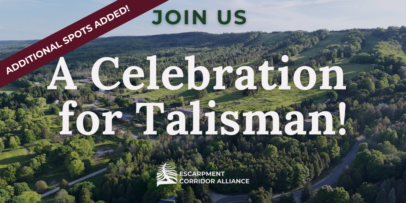 Second Celebration Event Added for Talisman!