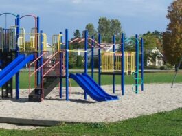 georgian-bay-news-com-image