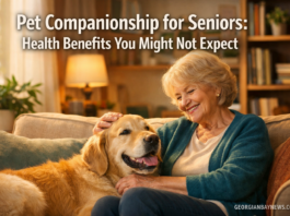 georgian-bay-news-com-image