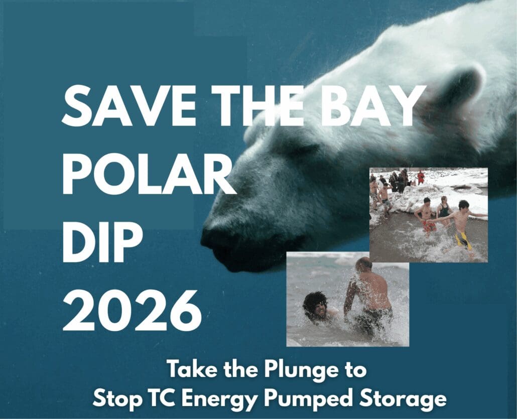 Be Part of the Movement – Create Your Own Polar Dip!