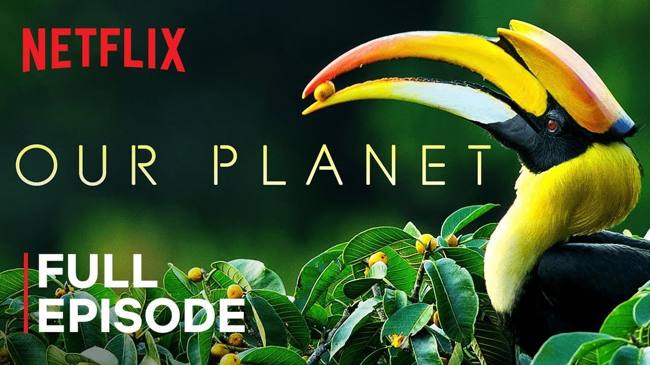 Experience Our Planet’s Natural Beauty | Forests | Netflix