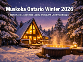 georgian-bay-news-com-image