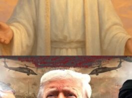 John Paily | Blood and Faith – Schrödinger’s Cat and the World Situation 2026 georgian-bay-news-com-image