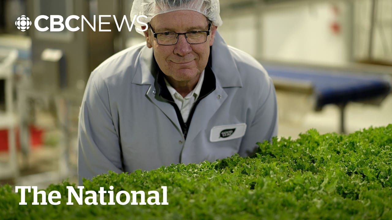 Want more ‘Buy Canadian’ food? These companies are trying to help | CBC
