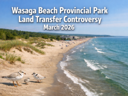 georgian-bay-news-com-image