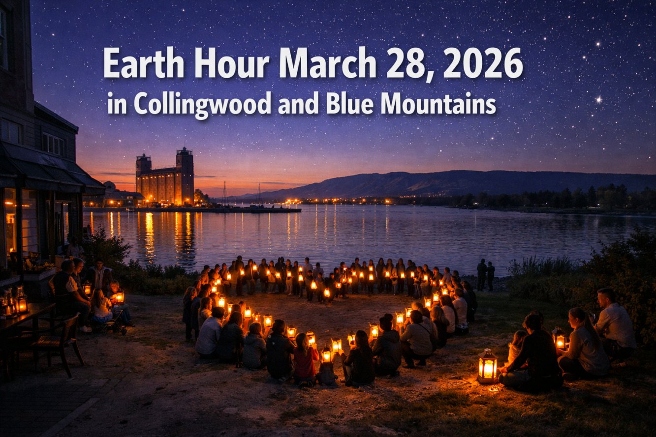Earth Hour in Collingwood, The Blue Mountains and Region: Community Participation Ideas, Eco-Friendly Alternatives 🌍✨