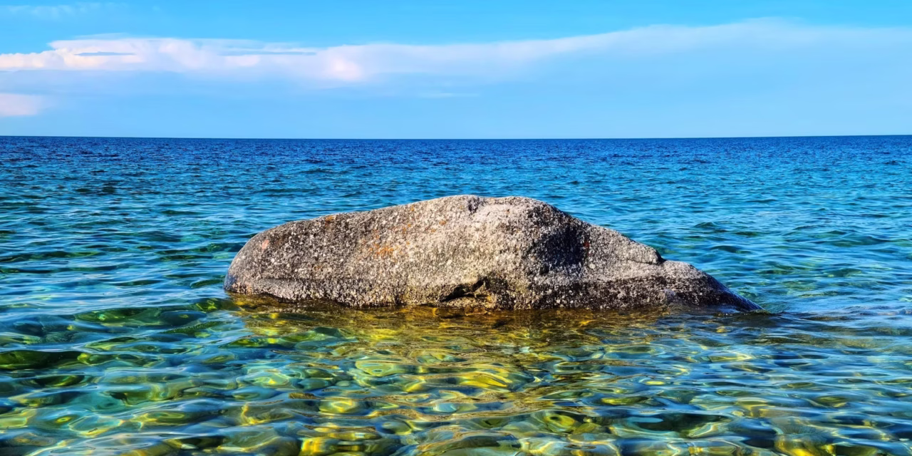 EarthFest 2026 | Saturday April 18, 2026 | Collingwood Leisure Time Club