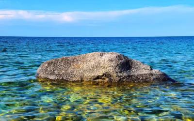 The Georgian Bay Compact | Ron Shulman