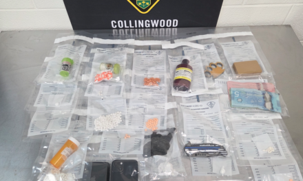 COLLINGWOOD | SUSPICIOUS PERSON CALL LEADS TO CRIMINAL CHARGES