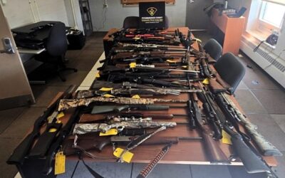 ARREST MADE AFTER 53 FIREARMS AND COCAINE SEIZED