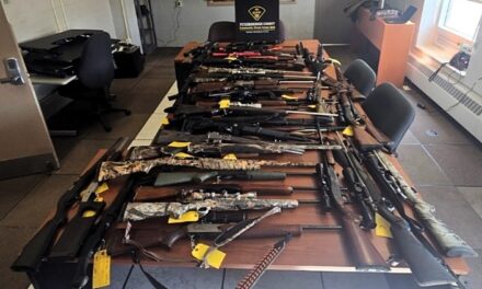 ARREST MADE AFTER 53 FIREARMS AND COCAINE SEIZED
