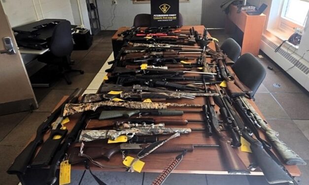 ARREST MADE AFTER 53 FIREARMS AND COCAINE SEIZED