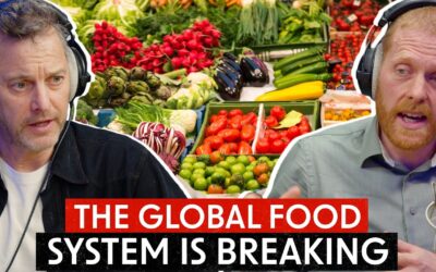 🧨 A Global Food Crisis Is Coming – And We Need to Prepare