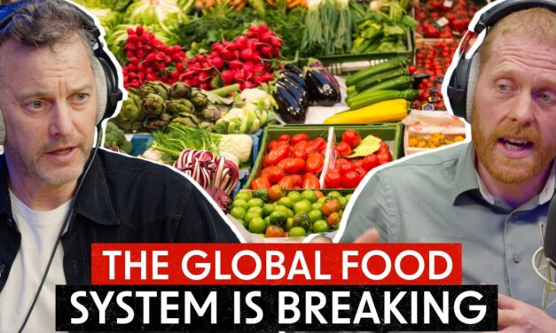 🧨  A Global Food Crisis Is Coming – And We Need to Prepare