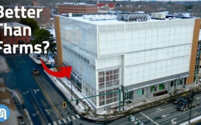 🚜 Why This Vertical Farm is 500x More Efficient Than Farming