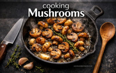 Cooking Mushrooms Properly: A Practical Guide for Better Flavour | Orion Moonsong