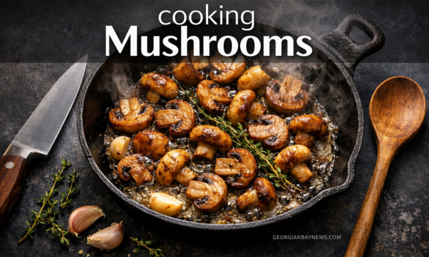 Cooking Mushrooms Properly: A Practical Guide for Better Flavour | Orion Moonsong