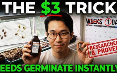 THIS $3 Trick Makes Seeds Germinate INSTANTLY!