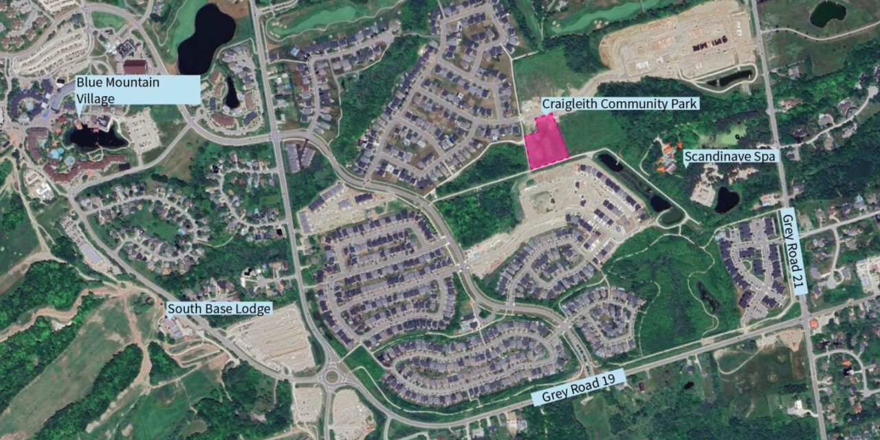 Town Seeking Feedback on Preliminary Designs for Craigleith Community Park