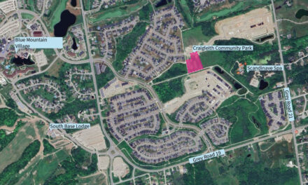 Town Seeking Feedback on Preliminary Designs for Craigleith Community Park