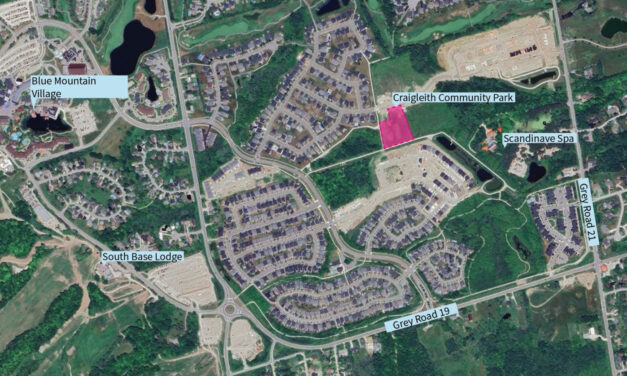 Town Seeking Feedback on Preliminary Designs for Craigleith Community Park