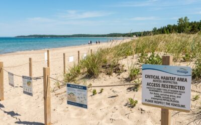 Wasaga Beach Sets New Standard for Beachfront Protection Through Destination Wasaga