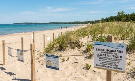Wasaga Beach Sets New Standard for Beachfront Protection Through Destination Wasaga