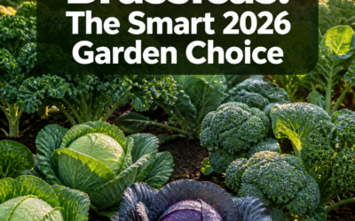 Low-Input Vegetable Gardening: Why Cabbage and Brassicas Are the Smart 2026 Choice for Busy Gardeners