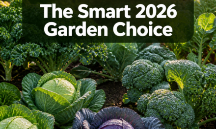 Low-Input Vegetable Gardening: Why Cabbage and Brassicas Are the Smart 2026 Choice for Busy Gardeners