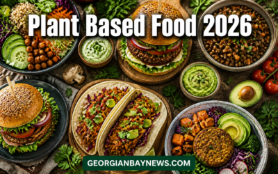 What’s New in Plant Based Food Products: The 2026 Guide to Modern Meat Alternatives and Beyond