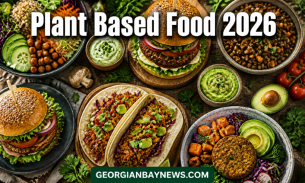 What’s New in Plant Based Food Products: The 2026 Guide to Modern Meat Alternatives and Beyond