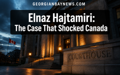 Plea Deal Announced: On Monday, Mohamad Lilo Pleaded Guilty to Conspiracy to Kidnap Elnaz Hajtamiri
