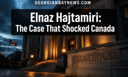 Plea Deal Announced: On Monday, Mohamad Lilo Pleaded Guilty to Conspiracy to Kidnap Elnaz Hajtamiri