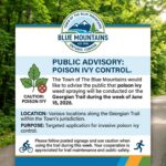 Town Conducting Poison Ivy Spot Spraying on Georgian Trail – June 2026