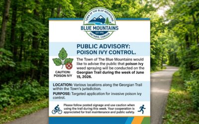 Town Conducting Poison Ivy Spot Spraying on Georgian Trail – June 2026