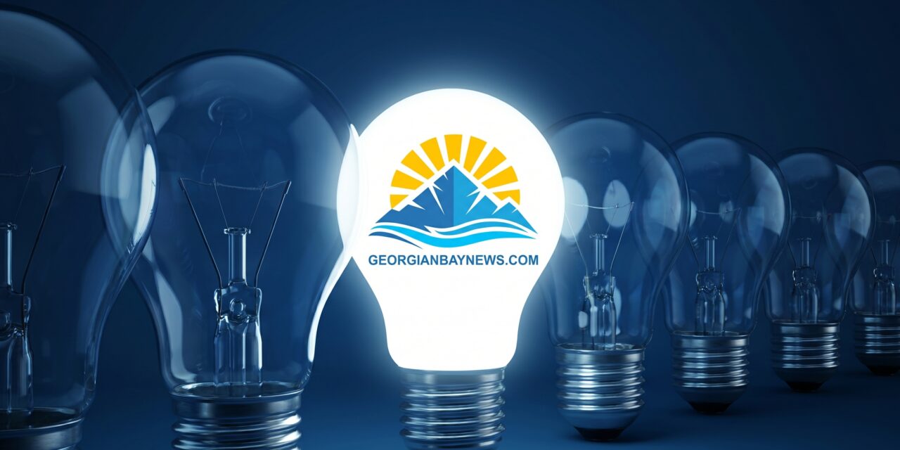 💡  The Case for a Regional Services Corporation | Ron Shulman