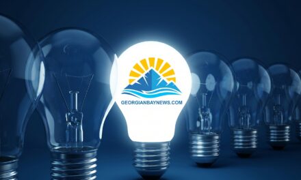 💡  The Case for a Regional Services Corporation | Ron Shulman
